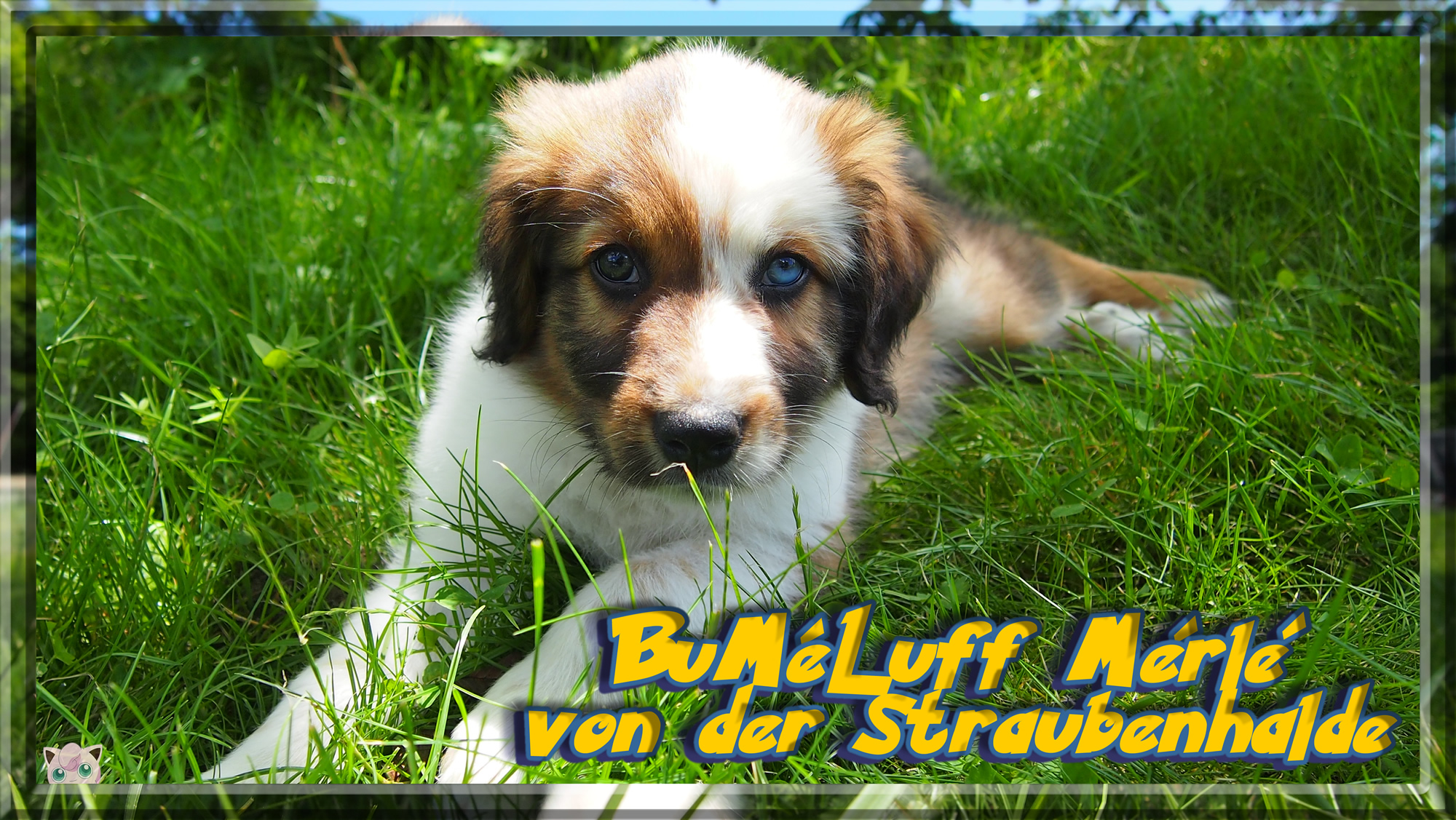 W&auml;ller von der Straubenhalde